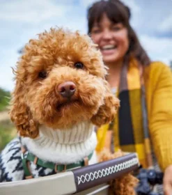 Basil Buddy Hondenfietsmand - Voorop - Zand -Gelukkig Sporten 1900 1675 mand achter zandbruin 2 1