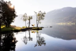 Amazonas Silk Traveller 1 Persoons Reishangmat - Techno 9 Amazonas Silk Traveller 1 Persoons Reishangmat - Techno -Gelukkig Sporten a181 16 op 01 resultaat