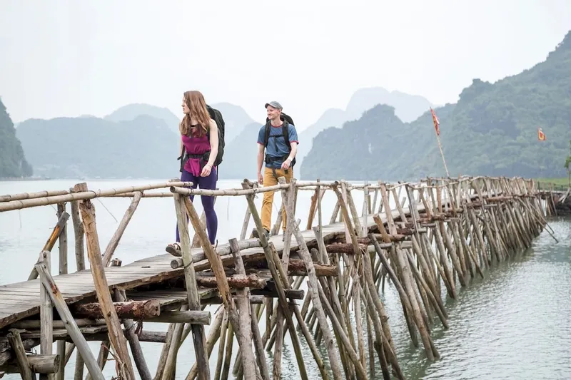 Osprey Farpoint Backpack - 40 Liter - Donkergroen 6 Osprey Farpoint Backpack - 40 Liter - Donkergroen - Afbeelding 6