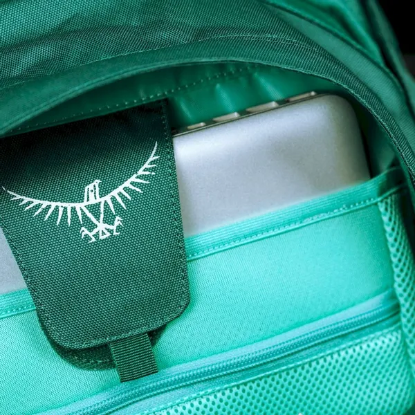 Osprey Farpoint Backpack - 40 Liter - Donkergroen 9 Osprey Farpoint Backpack - 40 Liter - Donkergroen - Afbeelding 9